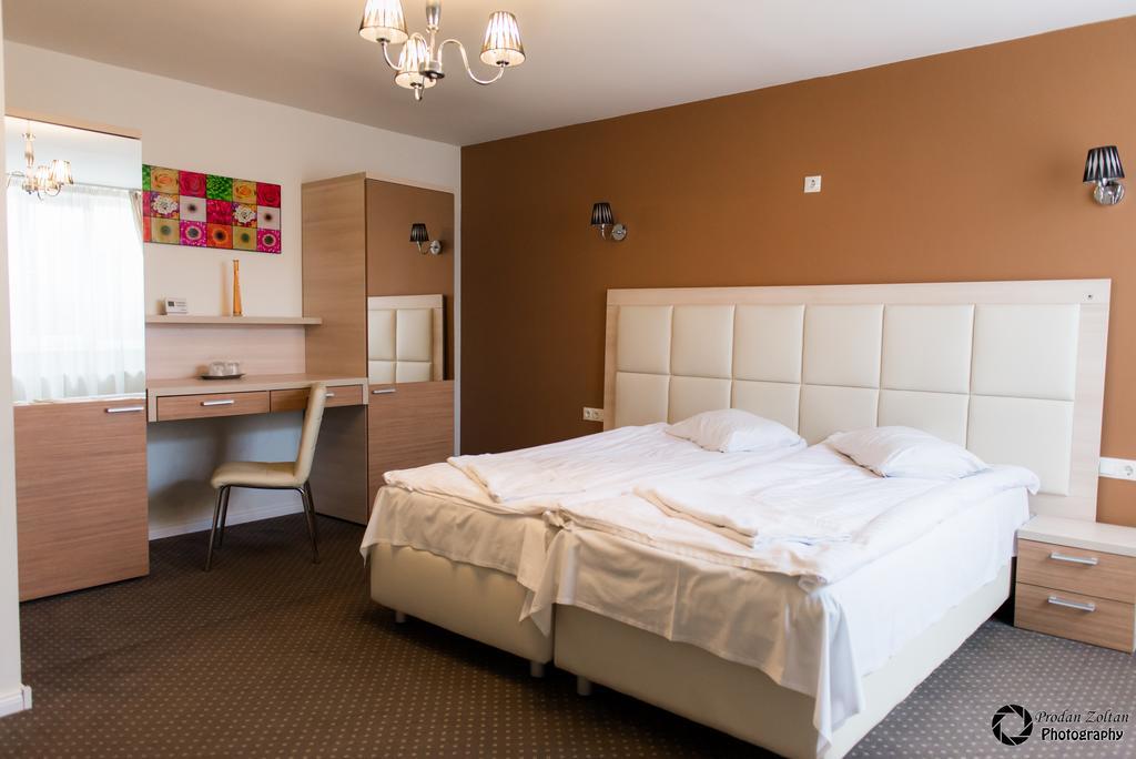Pensiunea Schwartz Cluj-Napoca Habitación foto
